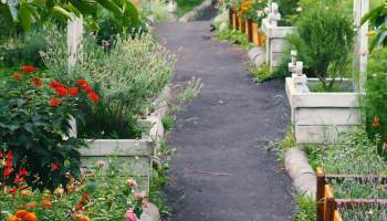 Jardín: cómo tener uno en casa