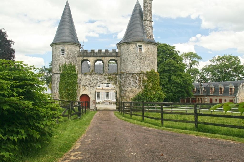 castillo francés